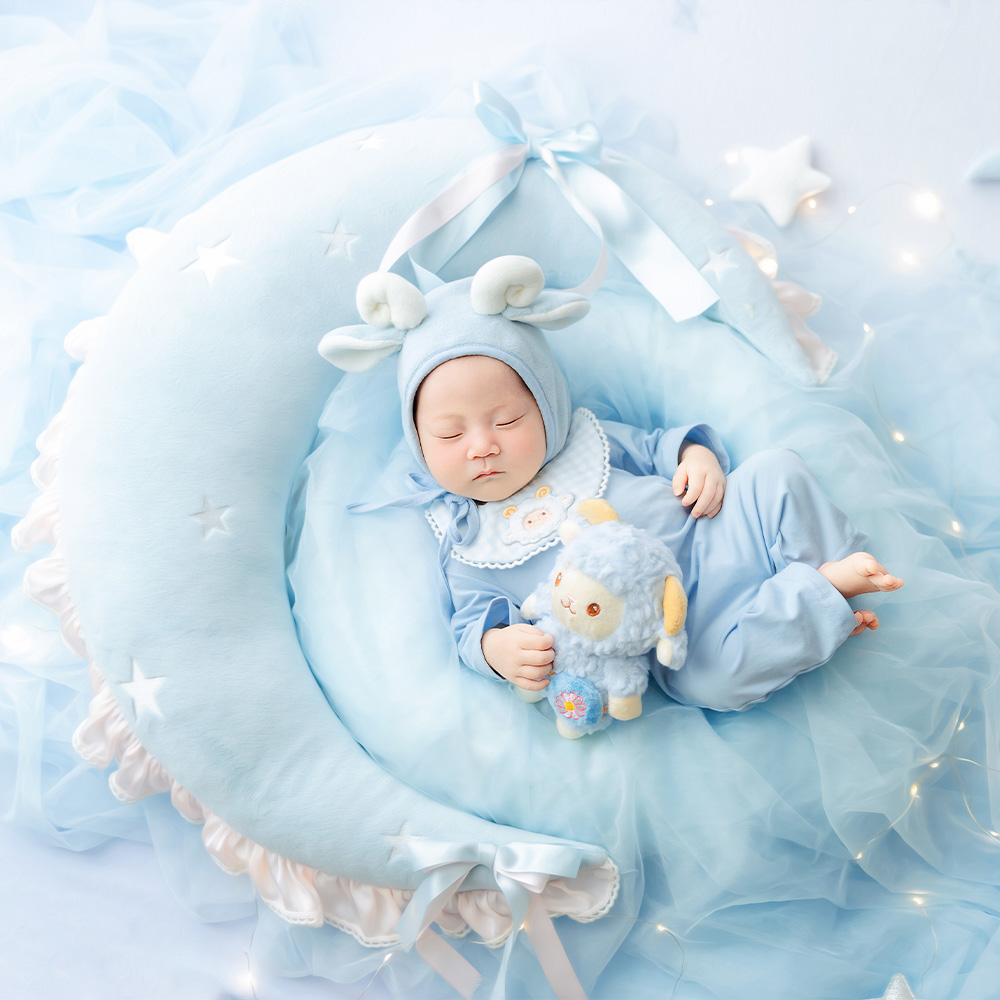 Cute Sheep Newborn Photography - đánh giá và giá Infant Photography Props Outfit